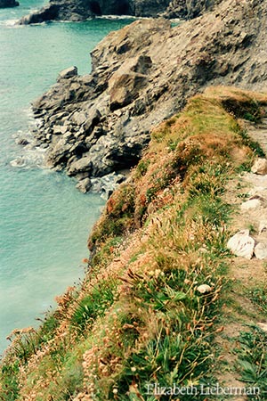 North Cornwall (UK) Coastline, Elizabeth Lieberman Earth Magic December 17th 2010