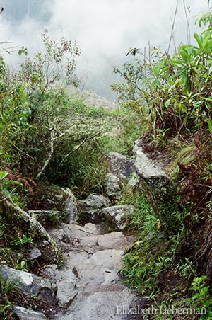 The Inca Trail to Machu Picchu, Elizabeth Lieberman Earth Magic December 17th 2010 